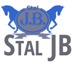 Logo StalJB